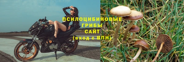 сатива Балабаново
