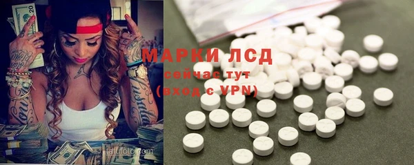 сатива Балахна