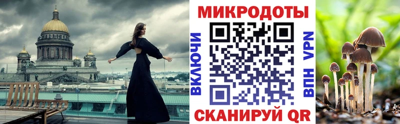 OMG tor  Миасс  Псилоцибиновые грибы мицелий 